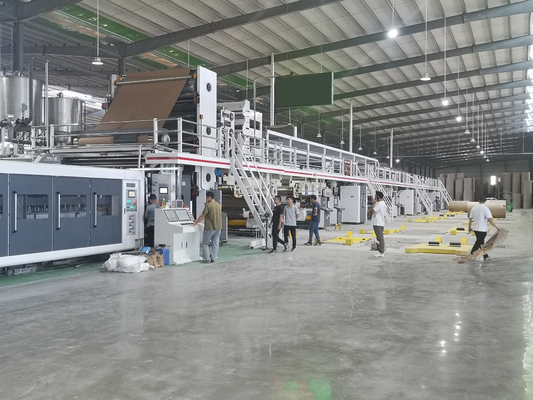 Il cartone automatico ha ondulato la linea di produzione della scatola controllo dello SpA